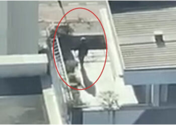 10 mijë hapa qëllimi i çdo dite, Berisha nuk heq dorë nga zakonet, kros në tarracën e pallatit