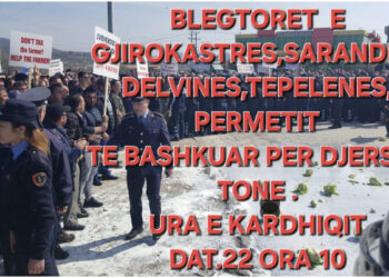 Blegtorët shqiptarë në protestë/ Kundërshtojnë uljen e çmimeve të qumështit dhe monopolit të fabrikave