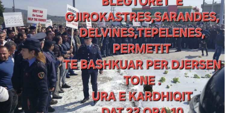 Blegtorët shqiptarë në protestë/ Kundërshtojnë uljen e çmimeve të qumështit dhe monopolit të fabrikave
