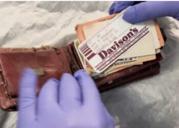 Gjendet pas 65 vitesh, portofoli i humbur në kinema