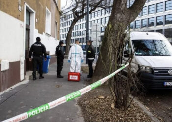 Tmerr në Sllovaki, kuzhinieri vret partneren se donte t’i gatuante organet