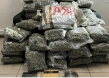 Çifti i të dashuruarve kapet me 66 kg marijuanë, greku e sillte, shqiptarja e fshihte