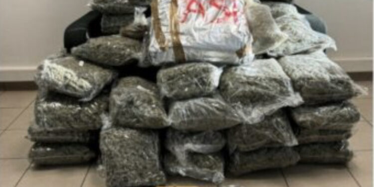 Çifti i të dashuruarve kapet me 66 kg marijuanë, greku e sillte, shqiptarja e fshihte