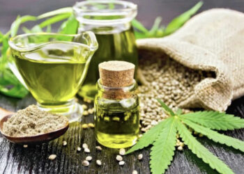 “Minierë ari” në Malësinë e Madhe – Bimët mjekësore, 15 mijë ton eksport në vit