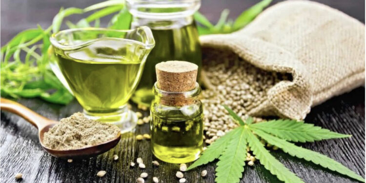 “Minierë ari” në Malësinë e Madhe – Bimët mjekësore, 15 mijë ton eksport në vit