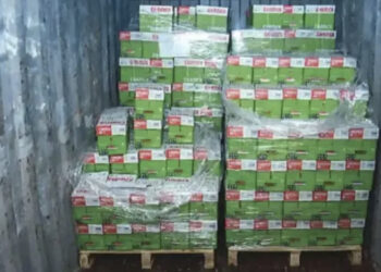 Kapet kontenieri me kokainë në Portin e Hamburgut, arrestohet 11 persona mes tyre dhe drejtuesi shqiptar