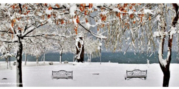 Keni plane? Po vjen fundjava me acar e ngrica