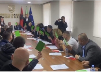 Tom Doshi bashkon votat me Berishën dhe Bashën