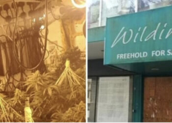 FOTO, EMRAT/ Vihen në pranga 2 drejtuesit shqiptar të plantacioneve të kanabisit në Britani