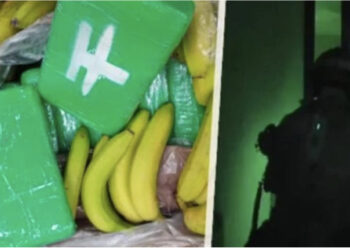 Trafikonin kokainë nga arkat e bananeve, në pranga 3 shqiptarë