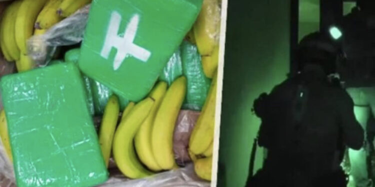 Trafikonin kokainë nga arkat e bananeve, në pranga 3 shqiptarë