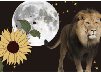 Hena e plotë në luan prek këto 4 shenja Horoskopi: Nga arritjet profesionale te marrëdhënia me miqtë