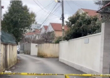 VIDEO/ Vrasja në Fresk, dy vëllezërit dyshohet se janë konfliktuar për pronat në Bulqizë