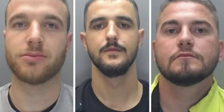 EMRAT/ “Shtëpia e barit” doli zbuluar, 3 shqiptarët fshihen në papafingo për të shpëtuar