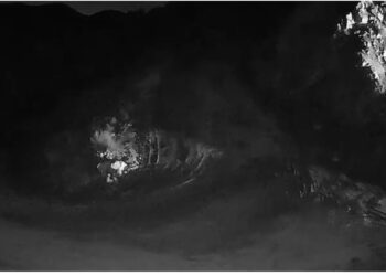 VIDEO/ Dy njerëzit që shkrumbuan 150 mijë Euro në Tiranë