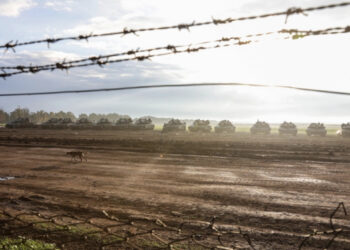 “Kohë të vështira kemi”! Çfarë do të ndodhë për Vitin e Ri sipas almanakut kinez?