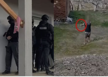 “Ule sëpatën o çun”, kërcënoi se do vriste babain, RENEA neutralizon 35-vjeçarin në Shijak