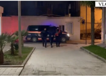 ‘Tempulli 2’ në Vlorë, arrestohen 43 persona, sekuestrohen 503 kg kanabis