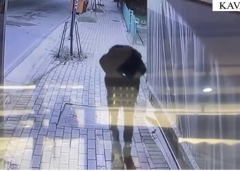 VIDEO-Kamerat kapin hajdutin që vodhi mbi 10 milionë Lekë brenda ditës