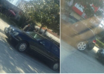 E rëndë në Peqin/ Punëtori i Bashkisë humb jetën, bie nga lartësia teksa po krasiste disa pemë