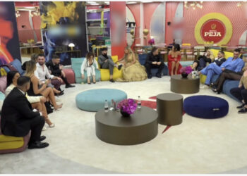 “Foli dhe parketi”/ Donald Veshaj dhe Mario Deda në mbrojtje të vëllezërve, “kunja” ndaj njëri-tjetrit