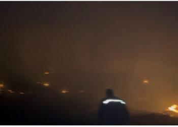 E FUNDIT/ Zjarr në pyllin e Sodës në Vlorë, era po favorizon përhapjen, nisen zjarrfikëset