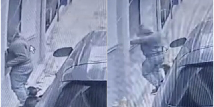 FOTO/ Momenti kur hajduti i hyn në shtëpi dhe i vjedh armën gardistit