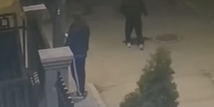 FOTO/ Momenti kur Ilo Lluka vret Emilajno Pinen dhe më pas ja shkrep vetes