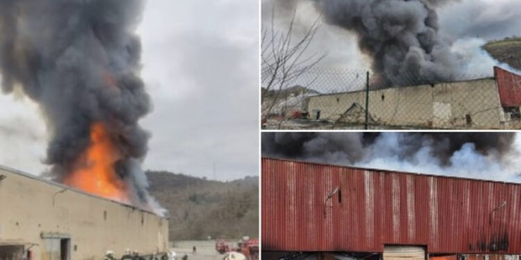 Rreth 900 tonë bateri litiumi digjen në një fabrikë në Francë