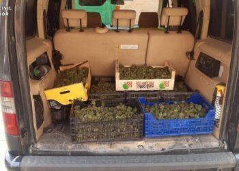 Kapet me drogë në kroskotin e makinës, arrestohet shqiptari në Itali