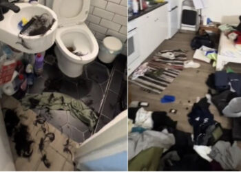 Hajdutët bastisin shtëpinë e artistit të njohur, bëjnë dhe një dush, më pas largohen