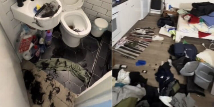 Hajdutët bastisin shtëpinë e artistit të njohur, bëjnë dhe një dush, më pas largohen