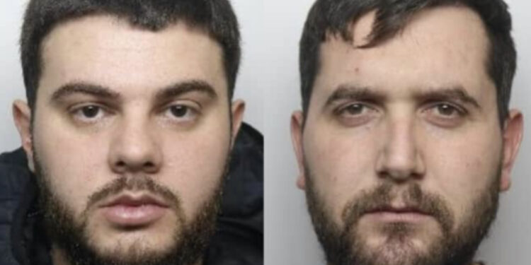 EMRAT/ Kapen brenda “fermës së kanabisit” me 600 bimë, dënohen dy shqiptarët