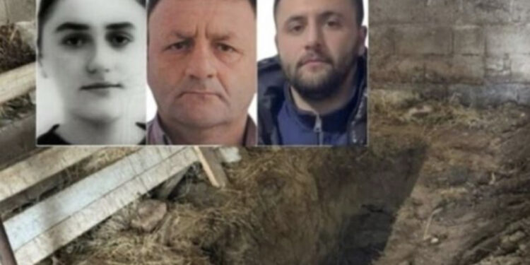 Krimi në Shënavlash të Durrësit, si vrau nëna e Blerina Metës në 2010-ën vjehrrën dhe plagosi bashkëshortin