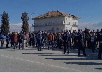Mollët mbeten stok, fermerët e Maliqit ngrihen në protestë, bllokojnë aksin Korçë-Pogradec