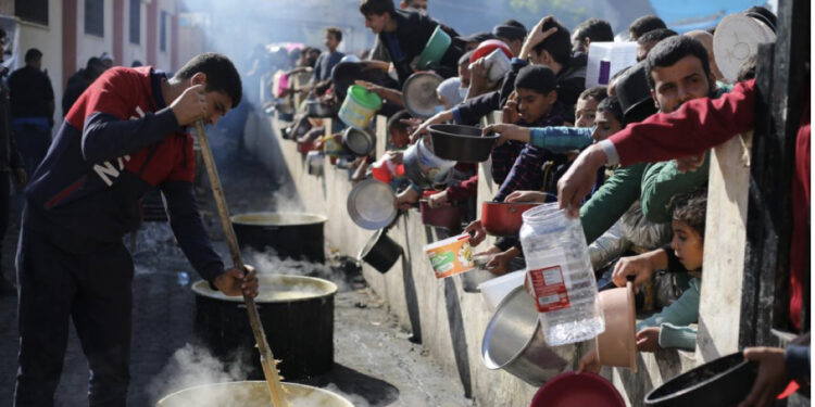 ‘Po vdesim ngadalë’, palestinezët po hanë bar dhe pinë ujë të ndotur