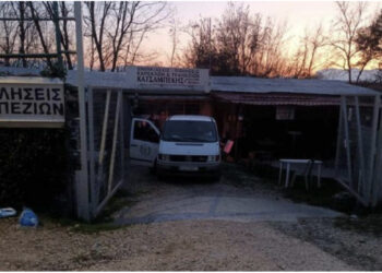 Horror në Greqi/ Djali i pret kokën babait me sharrë elektrike dhe njofton policinë: E vrava, ejani më merrni