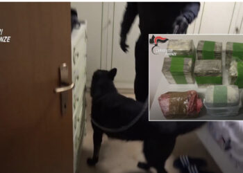 VIDEO/ Dalin pamjet e sekuestrimit të drogës së shqiptarëve me vlerë 2.7 milionë euro