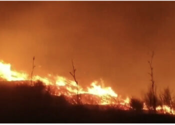 Dy orë zjarr në Orikum, flakët vazhdojnë të përhapen