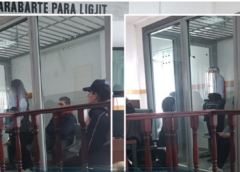 Vranë babanë dhe e groposën në kasolle, Gjykata merr vendimin për tre fëmijët e familjes Meta