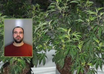 EMRI/ Nuk gjeti punë pas diplomimit në Shqipëri, i riu kapet brenda shtëpisë së bari në Angli: Kisha borxhe ndaj trafikantëve