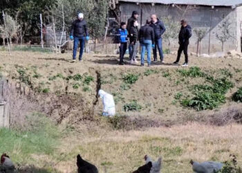 Policia sjell detaje tronditëse nga ngjarja e Durrësit: Vrasësi është djali i madh