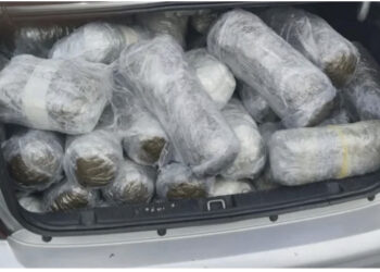 Lum droge në kufi, kapet tjetër ngarkesë me rreth 100 kg lëndë narkotike në Igumenicë