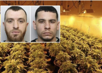 U kap me shokun në ‘shtëpi bari’, dënohet me burg djali i ish-policit