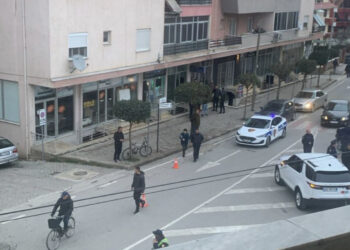 Kush është 35-vjeçari i plagosur në Pogradec, autori i ngjarjes e ndoqi pas për ta vrarë. Ngrihen pika kontrolli