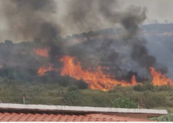 Zjarr në Berat, flakët djegin dy hektarë tokë me bimësi