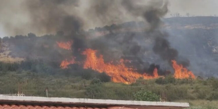 Zjarr në Berat, flakët djegin dy hektarë tokë me bimësi