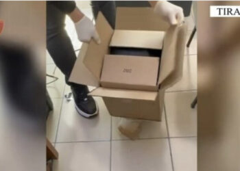 Drogë nga SHBA drejt Tiranës me postë, 1 në pranga, 1 në kërkim