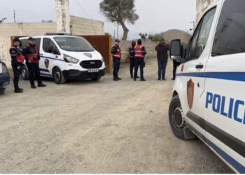 EMRI/ Plagosja në Mamurras, arrestohet autori i dyshuar