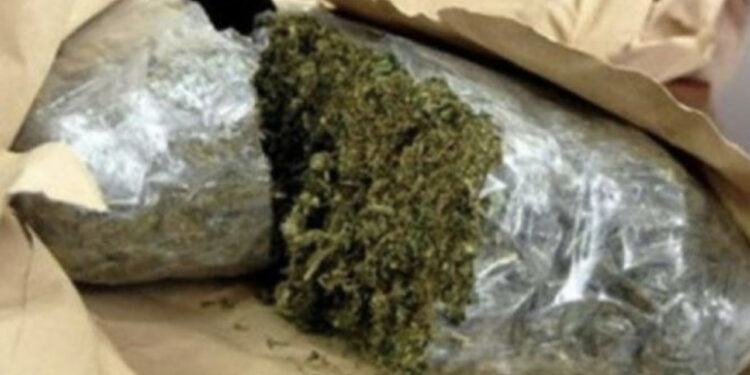 Operacion antidrogë në Kapshticë, kapen rreth 50 kilogramë kanabis